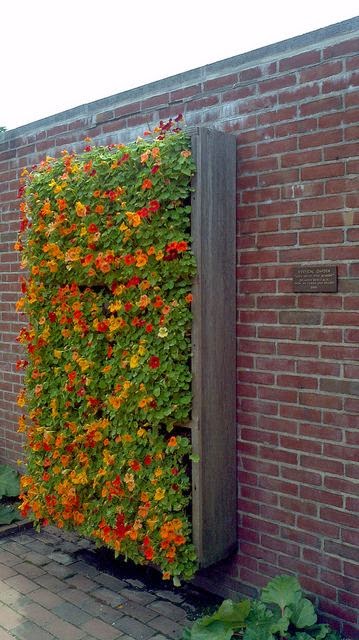 decorar-un-jardin-vertical-3
