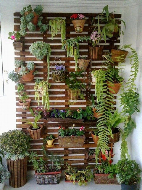 decorar-un-jardin-vertical-6