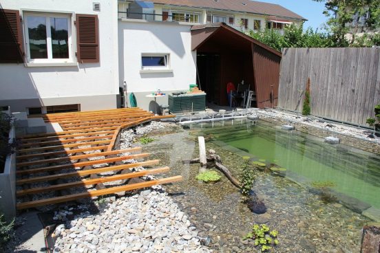 Logra nadar en casa de manera casera construyendo un estanque natural